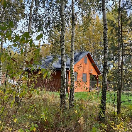 Domek Letniskowy Pod Brzozami Na Roztoczu Wsrod Lasow, Zamosc, Krasnobrod, Zwierzyniec Adamow  Dış mekan fotoğraf