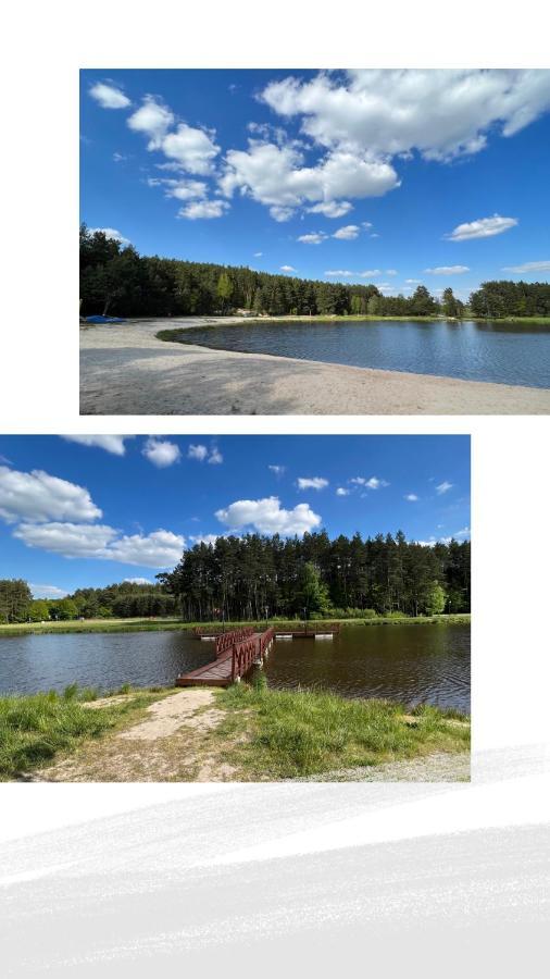 Domek Letniskowy Pod Brzozami Na Roztoczu Wsrod Lasow, Zamosc, Krasnobrod, Zwierzyniec Adamow  Dış mekan fotoğraf