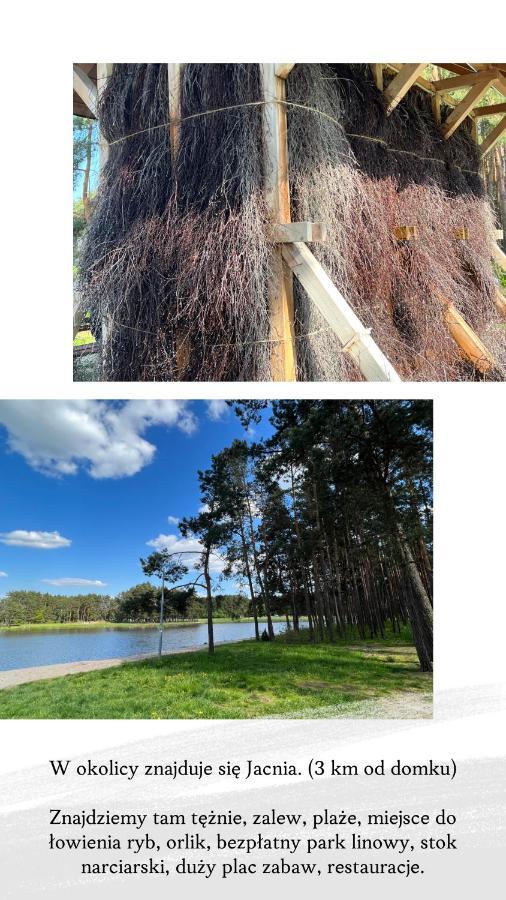 Domek Letniskowy Pod Brzozami Na Roztoczu Wsrod Lasow, Zamosc, Krasnobrod, Zwierzyniec Adamow  Dış mekan fotoğraf