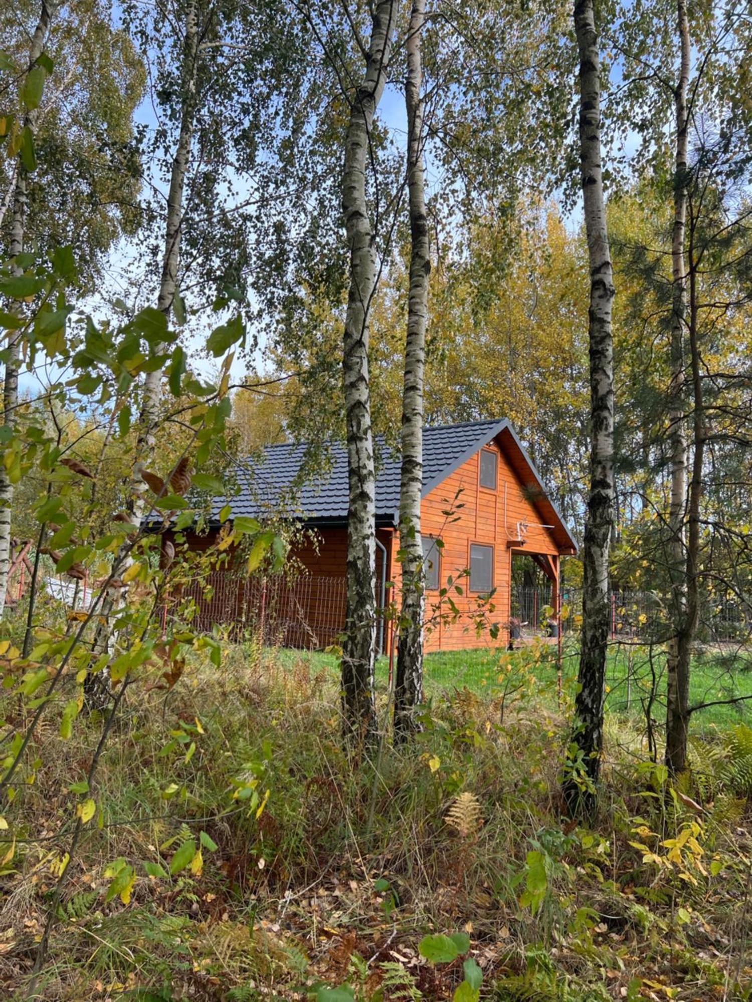 Domek Letniskowy Pod Brzozami Na Roztoczu Wsrod Lasow, Zamosc, Krasnobrod, Zwierzyniec Adamow  Dış mekan fotoğraf
